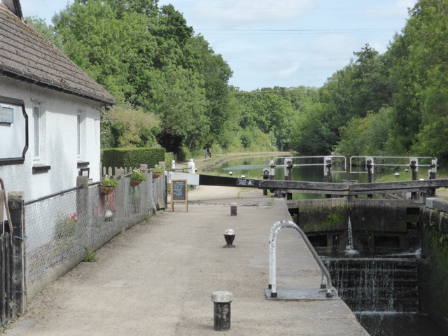 29.6.2015 ( Section 9 )