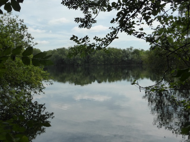 29.6.2015 ( Section 9 )