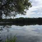 IMG_1307.jpg