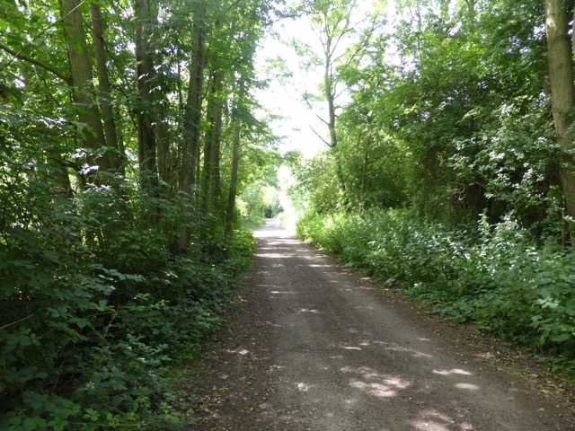 29.6.2015 ( Section 9 )