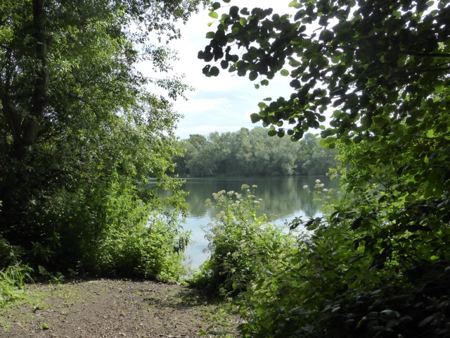 29.6.2015 ( Section 9 )