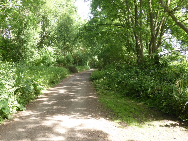 29.6.2015 ( Section 9 )