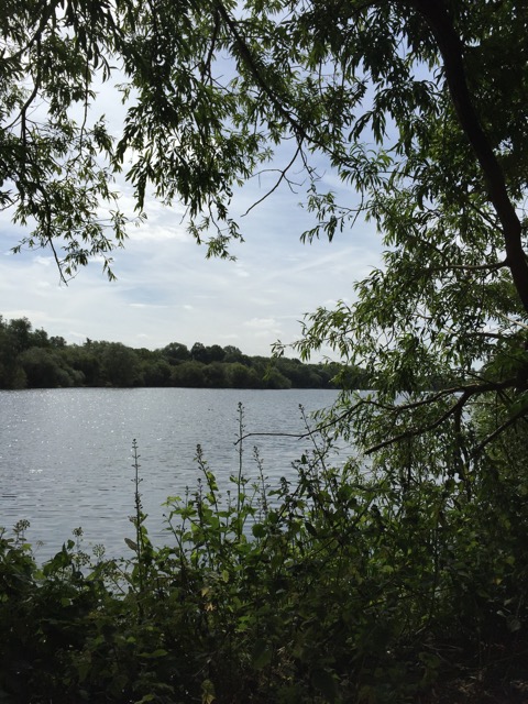 29.6.2015 ( Section 9 )