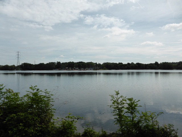 29.6.2015 ( Section 9 )