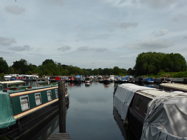 29.6.2015 ( Section 9 )