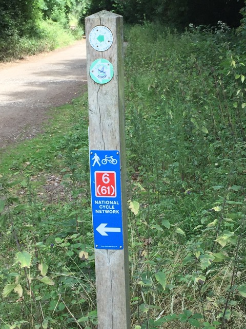 29.6.2015 ( Section 9 )