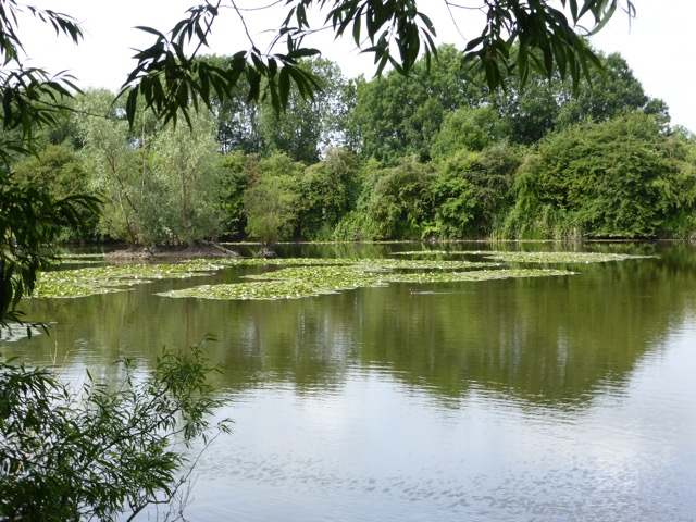 29.6.2015 ( Section 9 )