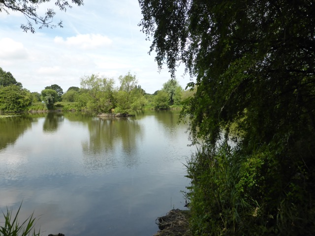 29.6.2015 ( Section 9 )