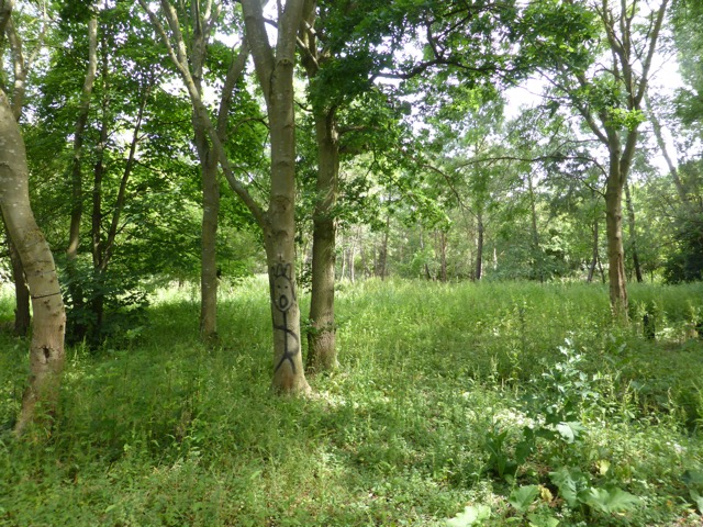 29.6.2015 ( Section 9 )