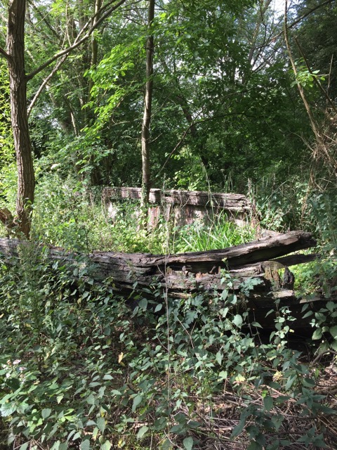 29.6.2015 ( Section 9 )