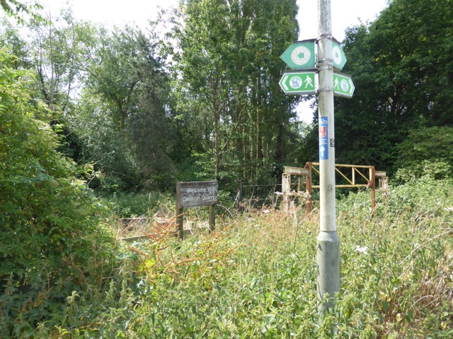 29.6.2015 ( Section 9 )