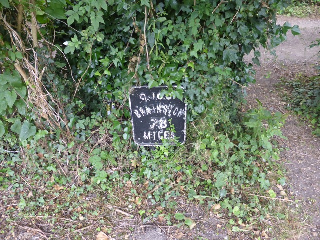 29.6.2015 ( Section 9 )