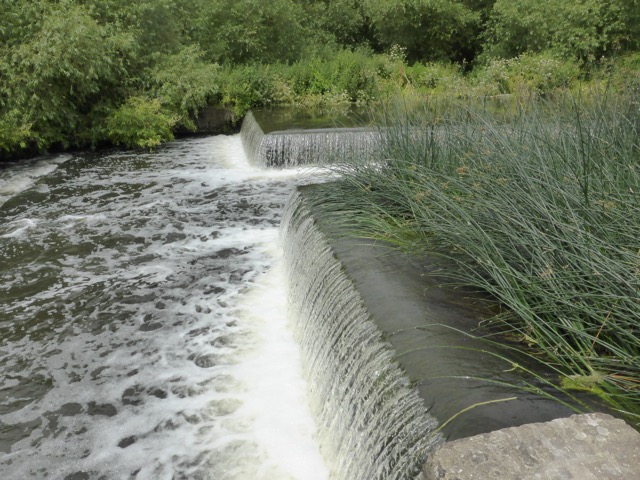 29.6.2015 ( Section 9 )