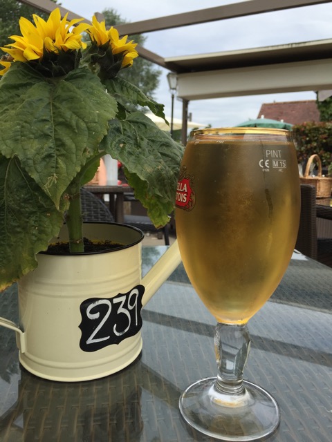 29.6.2015 ( Section 9 )