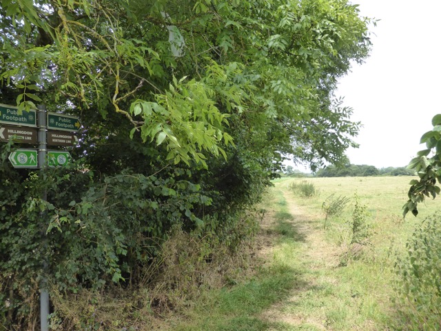 29.6.2015 ( Section 9 )