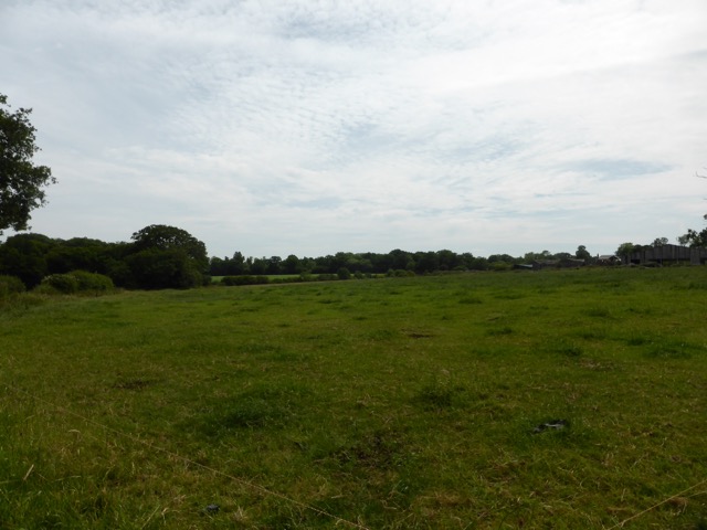 29.6.2015 ( Section 9 )