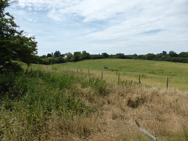 29.6.2015 ( Section 9 )