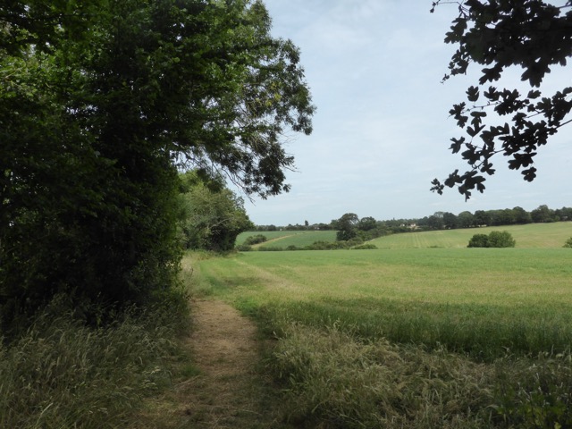 29.6.2015 ( Section 9 )