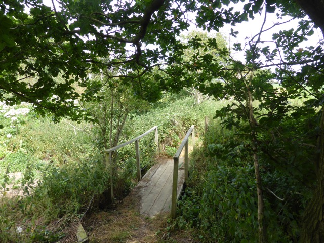 29.6.2015 ( Section 9 )