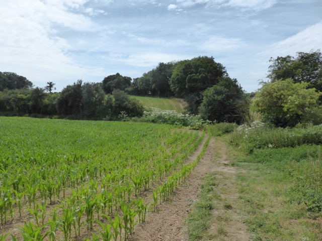 29.6.2015 ( Section 9 )