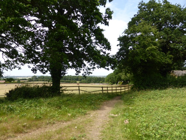 29.6.2015 ( Section 9 )