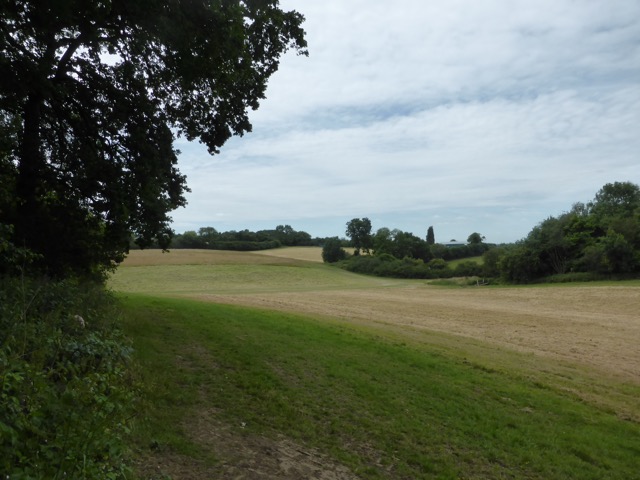 29.6.2015 ( Section 9 )