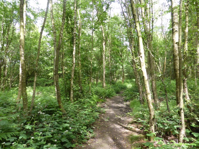 29.6.2015 ( Section 9 )