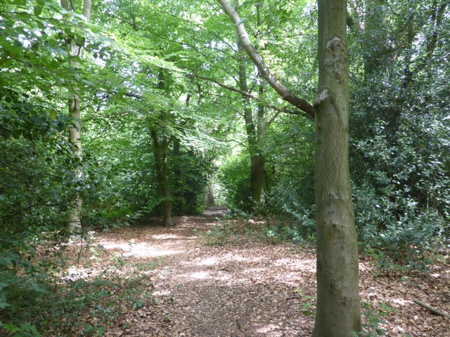 29.6.2015 ( Section 9 )