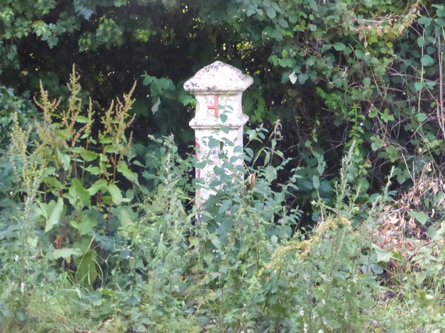 29.6.2015 ( Section 9 )