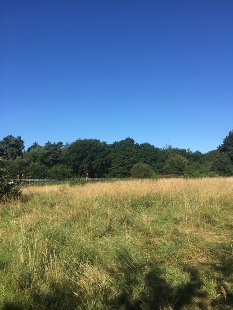 6.8.2018 ( Section 10 )