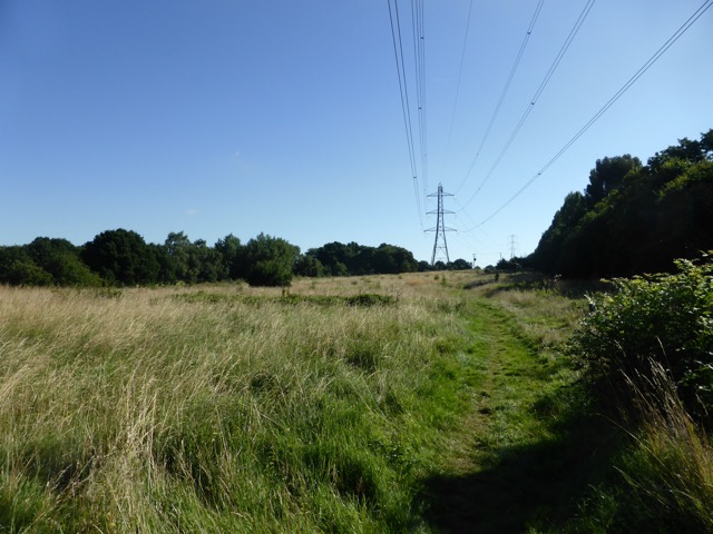 6.8.2018 ( Section 10 )