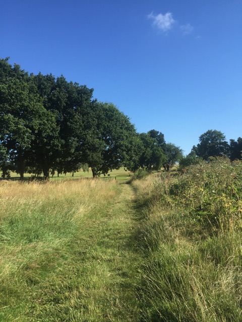 6.8.2018 ( Section 10 )