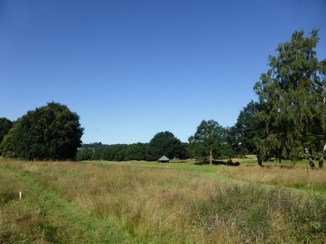 6.8.2018 ( Section 10 )