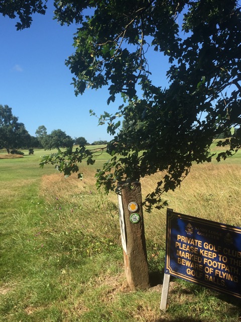 6.8.2018 ( Section 10 )