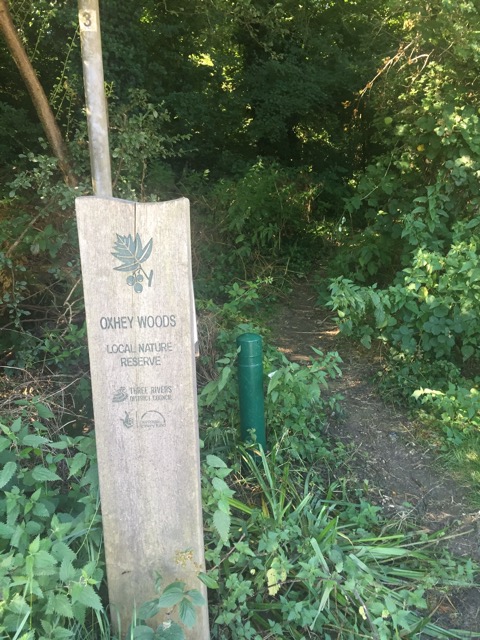 6.8.2018 ( Section 10 )