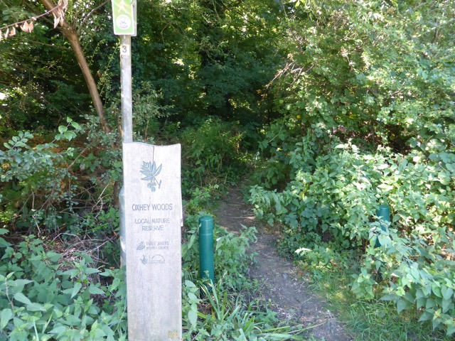 6.8.2018 ( Section 10 )