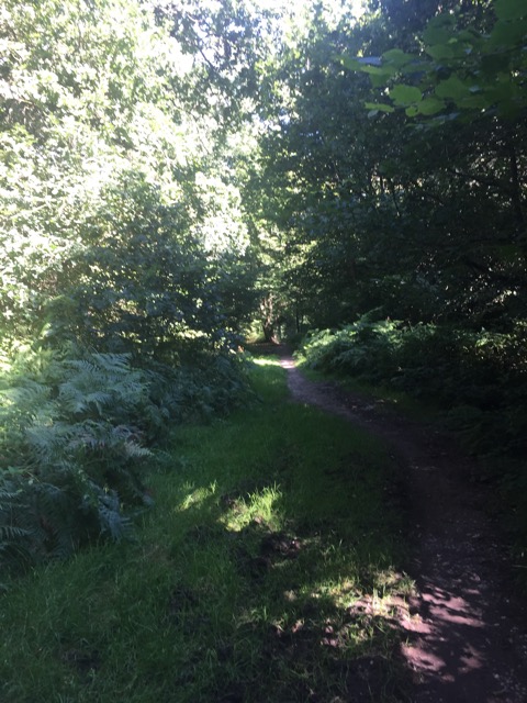 6.8.2018 ( Section 10 )