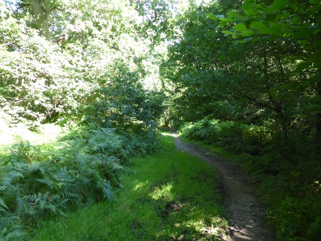 6.8.2018 ( Section 10 )