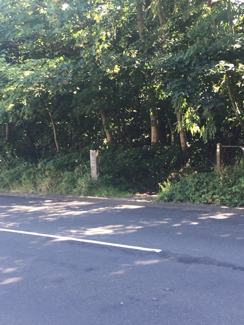 6.8.2018 ( Section 10 )