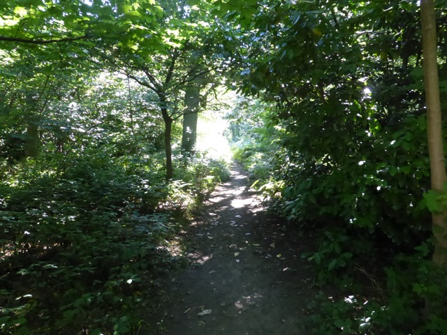 6.8.2018 ( Section 10 )