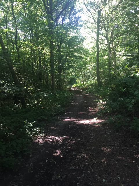 6.8.2018 ( Section 10 )