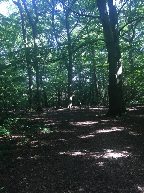 6.8.2018 ( Section 10 )