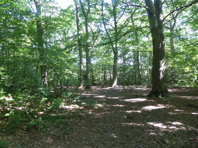 6.8.2018 ( Section 10 )