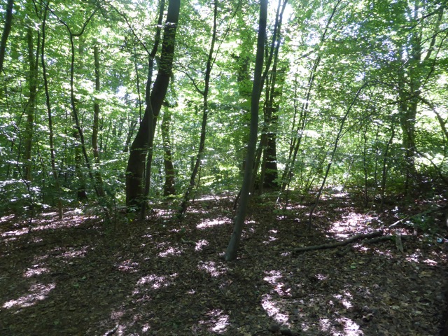 6.8.2018 ( Section 10 )