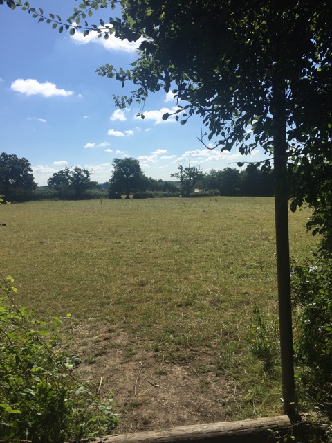 6.8.2018 ( Section 10 )