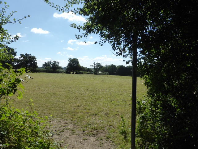 6.8.2018 ( Section 10 )