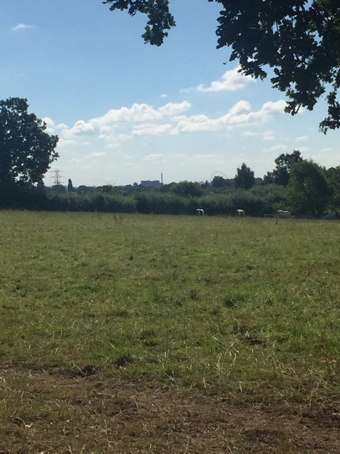 6.8.2018 ( Section 10 )