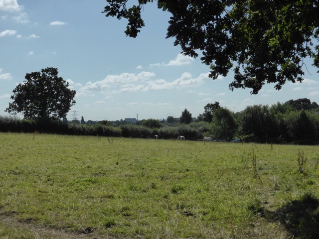 6.8.2018 ( Section 10 )