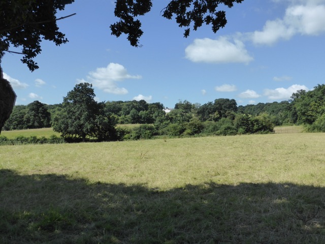 6.8.2018 ( Section 10 )