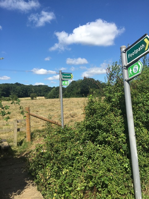 6.8.2018 ( Section 10 )